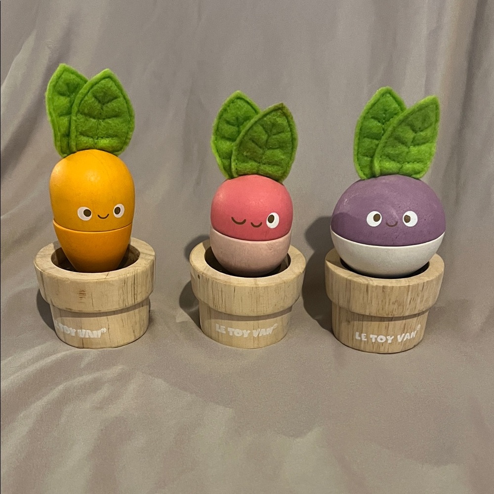 Veggie Buddies Play Set